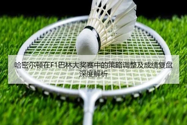 img_1791402922041_35_1_485.jpg